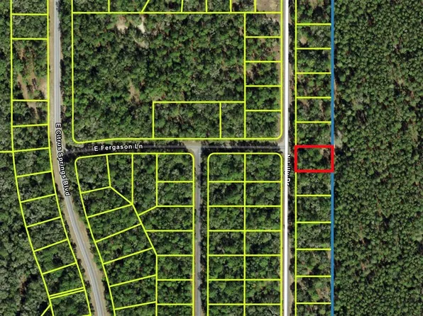 9487 N Lily Dr #11, Dunnellon, FL 34434