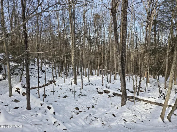 118 Pioneer Dr, Lackawaxen, PA 18435