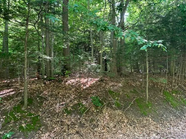 Schoedel Rd, Manistee, MI 49660