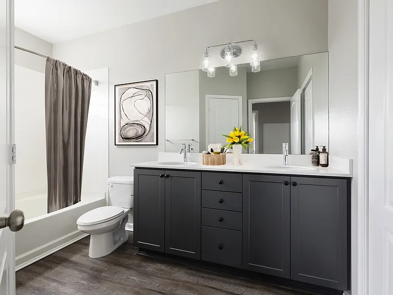 Spa Inspired Baths