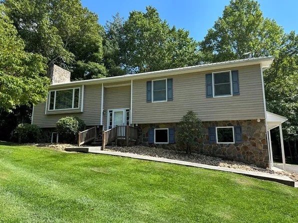 517 Old Hollow Trl, Fancy Gap, VA 24328