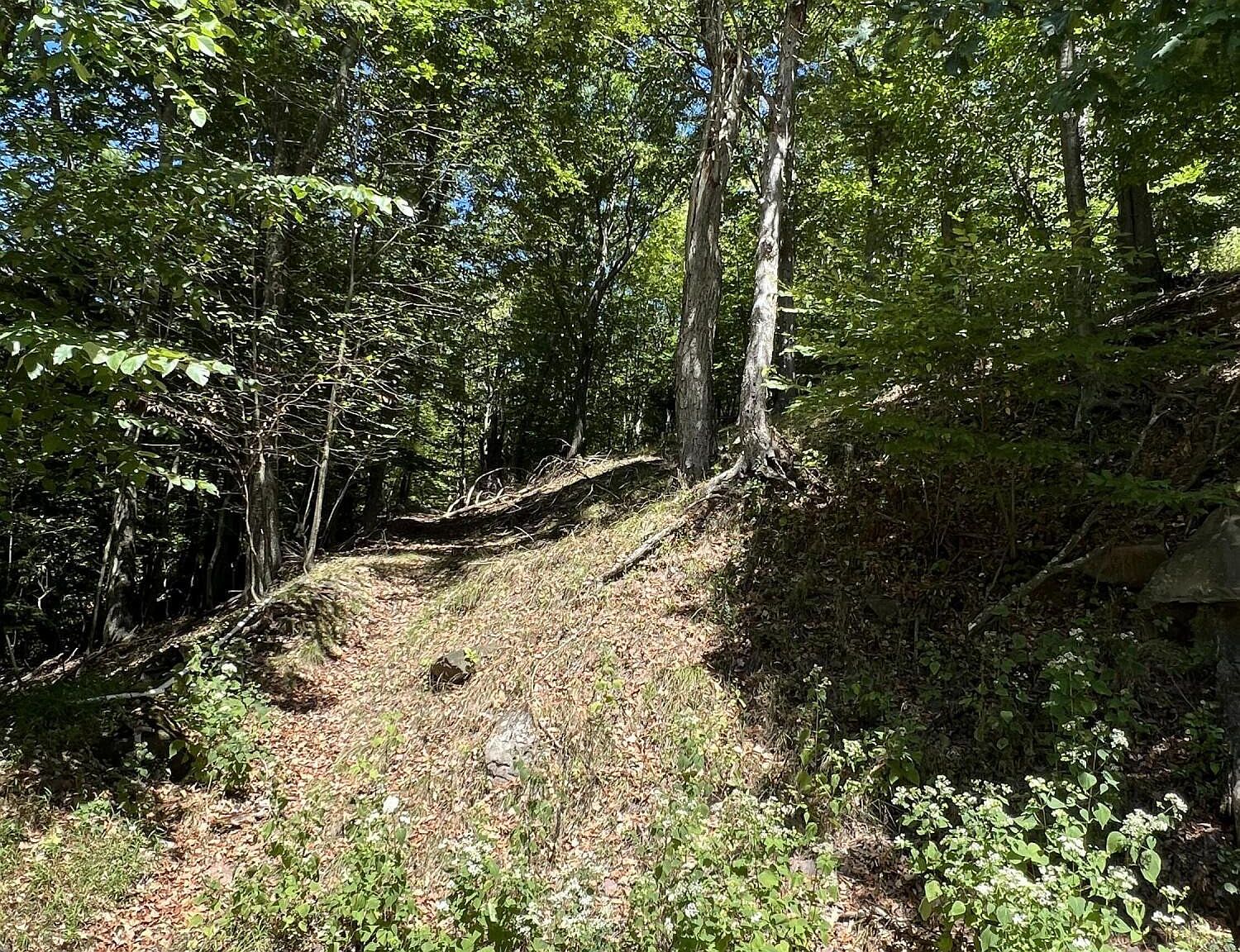 Cottage Ave, Honesdale, PA 18431 Zillow