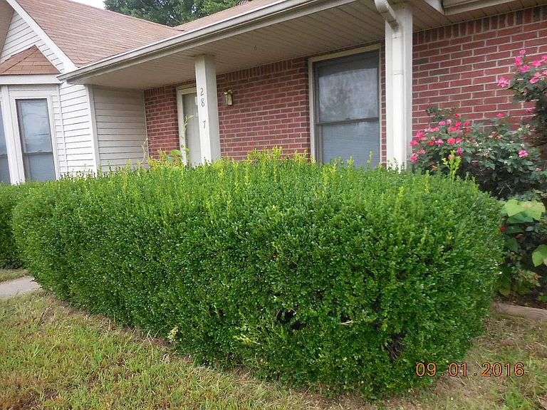 2807 Highway 41A S — Photo 2