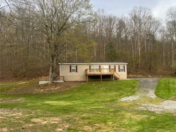2510 Tate Creek Rd, Frametown, WV 26623
