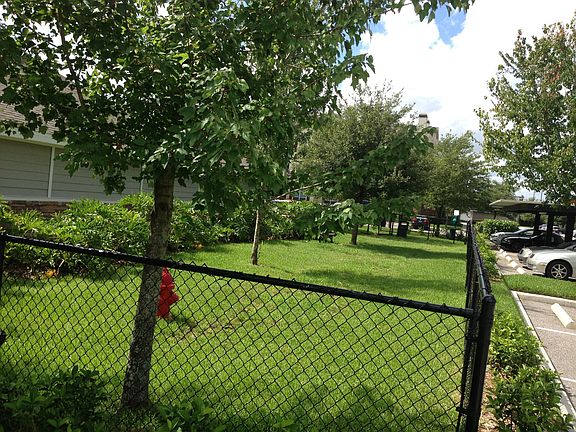 Dog Park