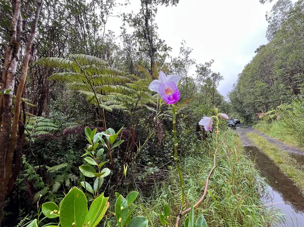 Road 5 Lot 239, Volcano, HI 96785