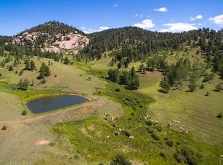 123 Pinon Ln, Florissant, CO 80816