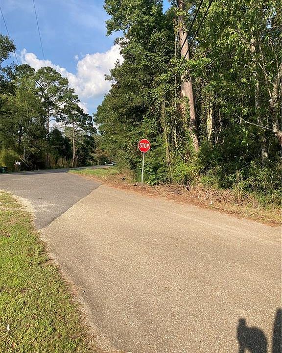 2nd image of Blood River Rd