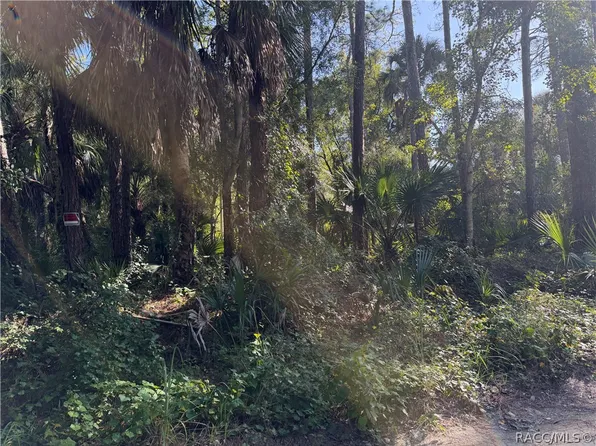 0 Corner Of Debra Shearer, Inglis, FL 34449