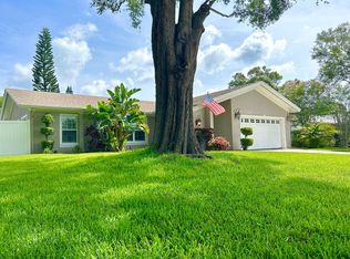 214 N Bay Hills Blvd, Safety Harbor, FL 34695