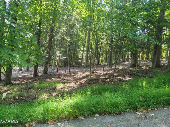 267 Turkey Ridge Rd, Flinton, PA 16640