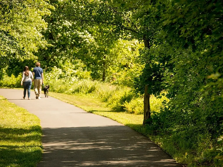 Nearby peaceful jogging paths