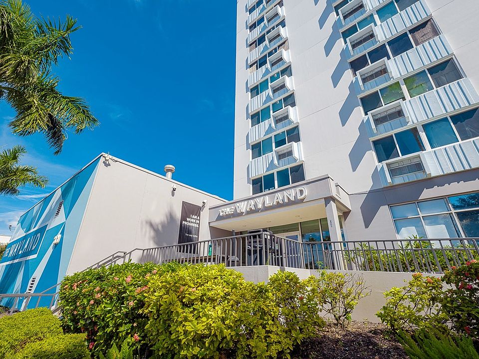 The Wayland by Common 305 Dr Martin Luther King Jr St S Saint Petersburg FL Zillow