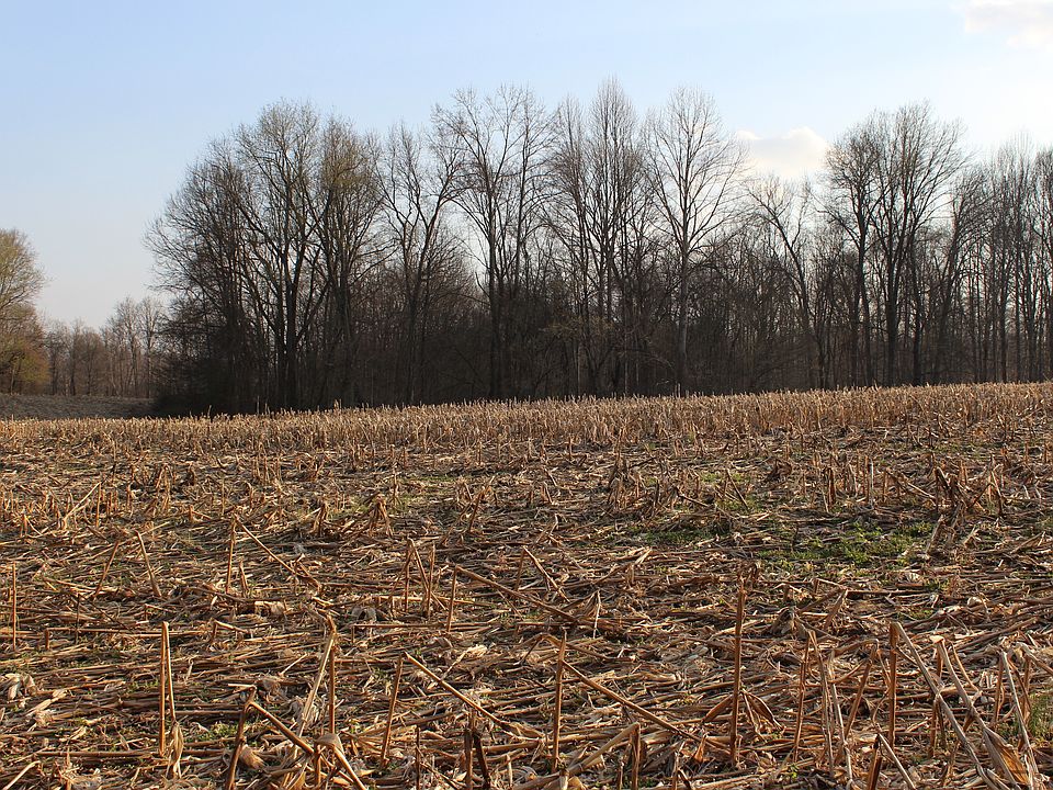 2nd image of 400 W Rural Flt Lot 2