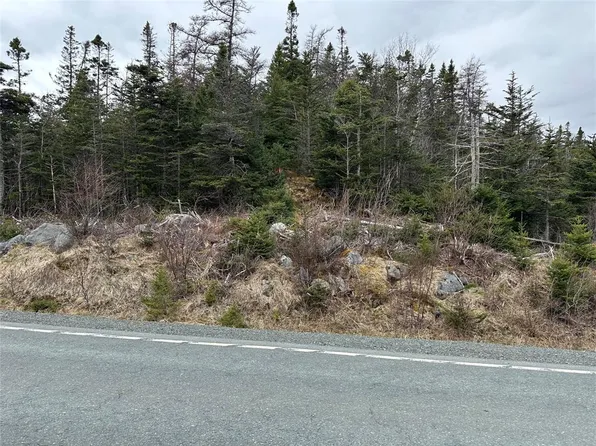 106 Liam Hickey Drive, Holyrood, NL A0A2R0