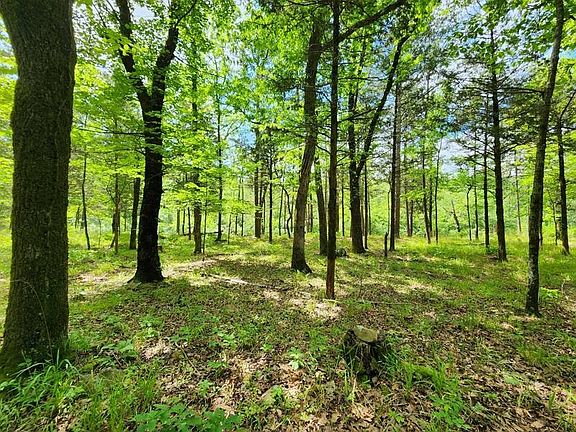 3rd image of 36 Patterson Rd