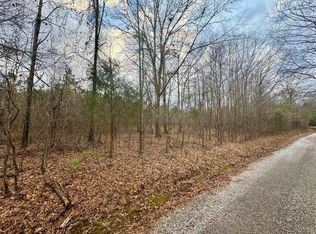 8 Sartain Rd, Dennis, MS 38838