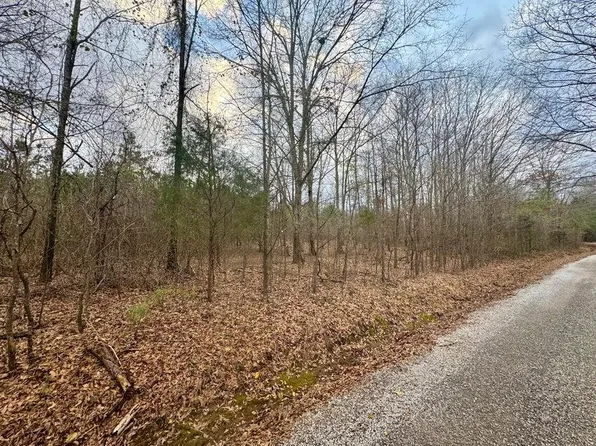 8 Sartain Rd, Dennis, MS 38838