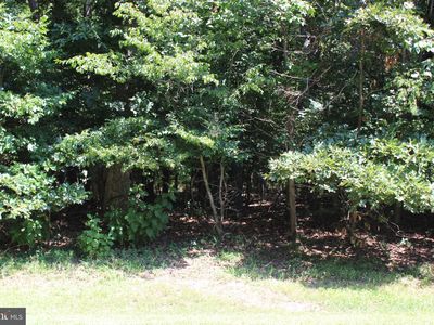 1851 Mutiny Dr, Greenbackville, VA, 23356