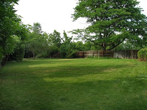 Park-like yard- another photo