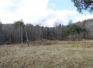 321 Lockwood Hill Rd, Mount Upton, NY 13809