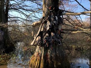 291 Tay Parker Rd, Belzoni, MS 39038