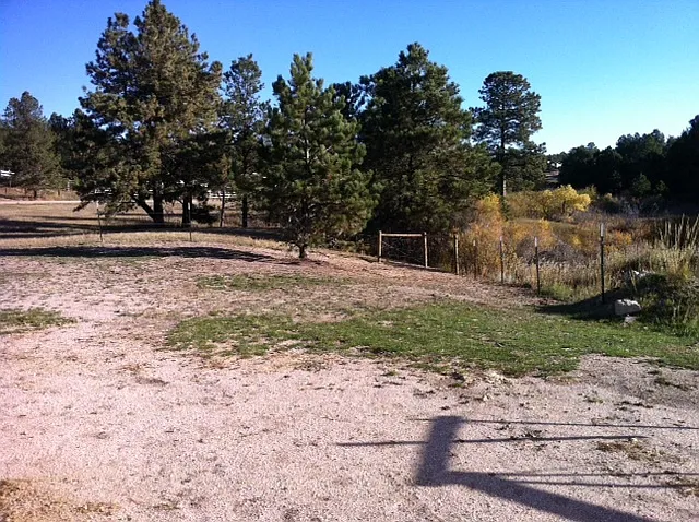 Black Forest Horse Property — Photo 2