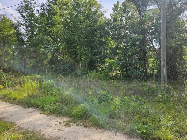 NE 153rd Ave Lot 2, Williston, FL 32696