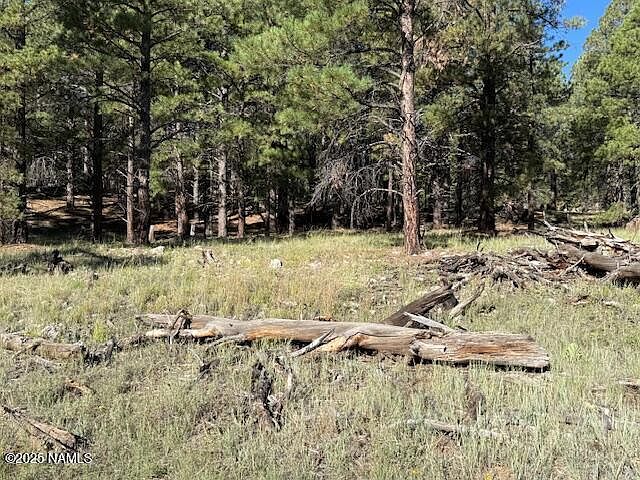 2nd image of 5800 White Tail Ln