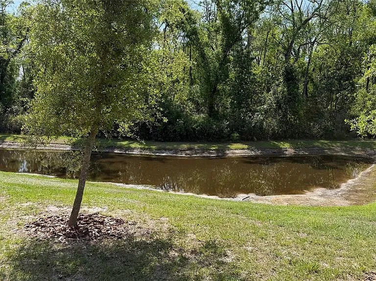 17608 Nectar Flume Dr — Photo 19
