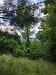 8647 Hc 72 County Rd, Parthenon, AR, 72666