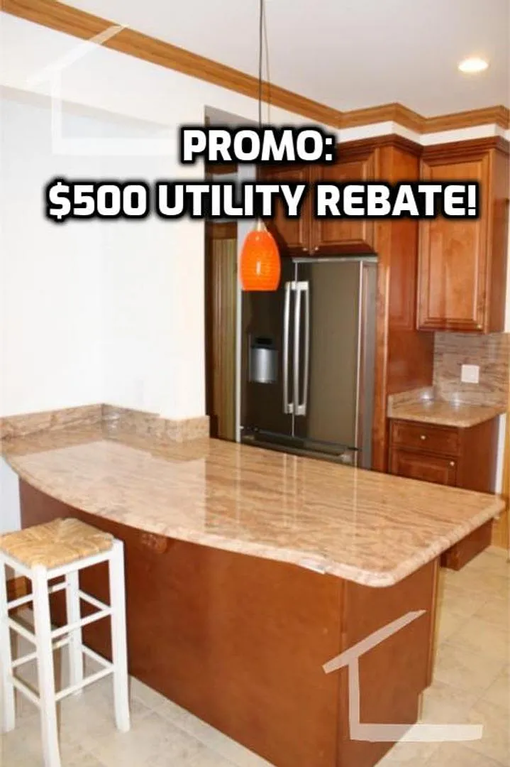 Fabulous XL Apt w 2 full bathrooms in Prime Brookline Area! Perfect for Grads and Working Pros al... — Photo 1