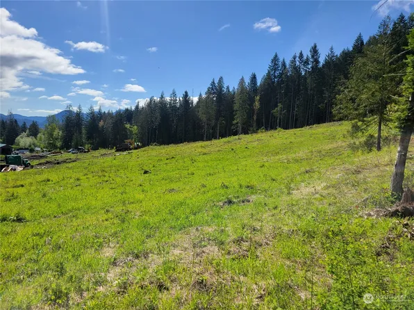 0 Brooks Road, Carson, WA 98610