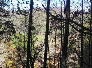 335 Clarks Branch Rd, Leicester, NC 28748