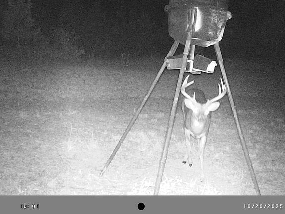 4th image of 3 Pleasant Ridge Church Rd