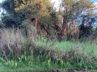 Road 8 LOT 425, Volcano, HI 96785