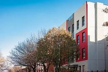 Rented by Bold New York