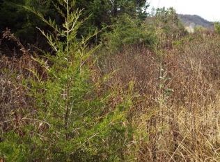 Copper Ridge Rd, Castlewood, VA 24224