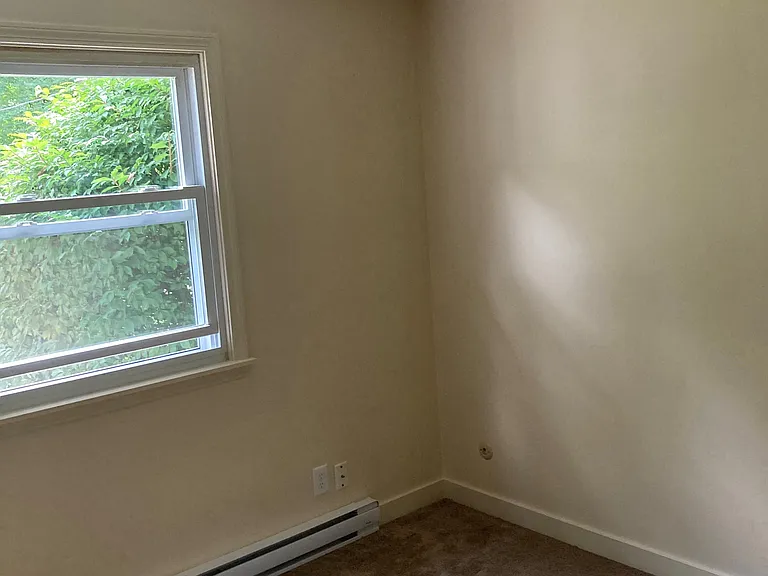 229 Flaggy Meadow Rd — Photo 29