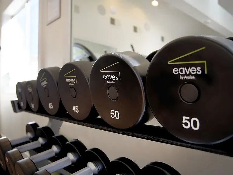 Strength equipment