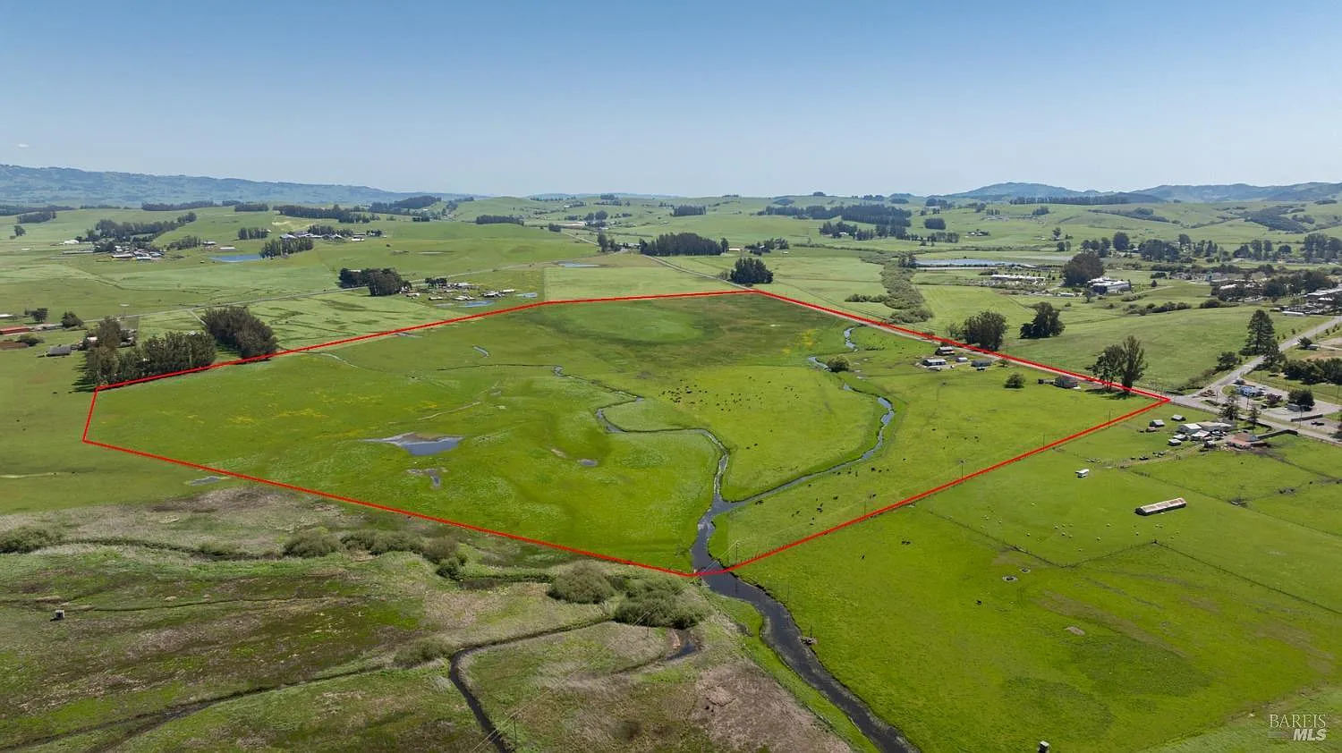 530 Tomales Road - Photo 3