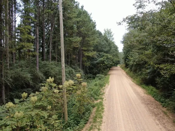 Old Millport Road Or Pickens Cres #27, Reform, AL 35481