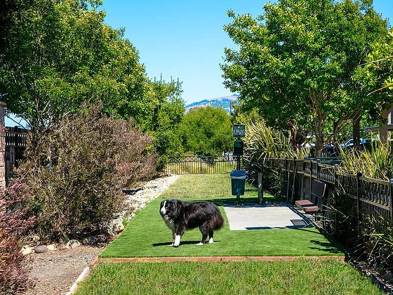 Fiori Estates — Photo 9
