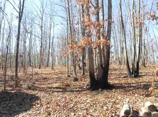 1675 Little Africa Rd, Chesnee, SC 29323