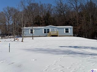 110 Persimmon Ct, Vine Grove, KY 40175