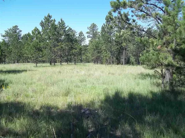Tbd Gunsmoke Ln, Custer, SD 57730