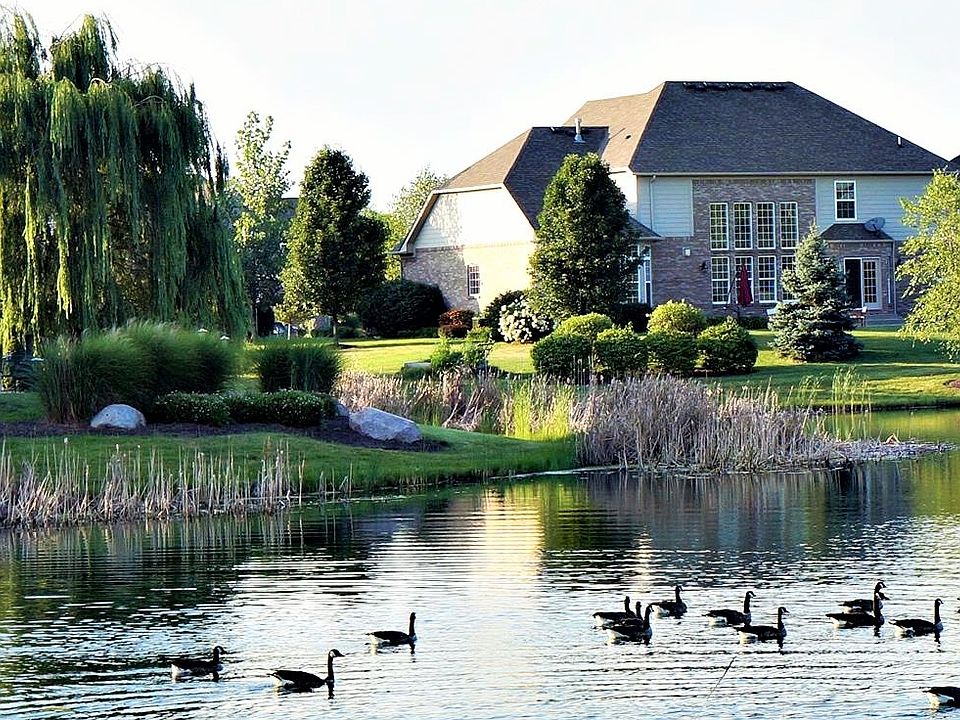 Back of House Across Pond