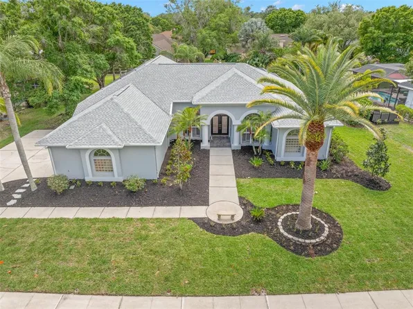 3692 Johnathon Ave, Palm Harbor, FL 34685