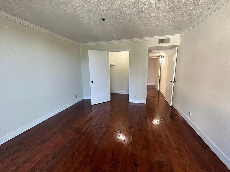 Walk-in closet of guest bedroom