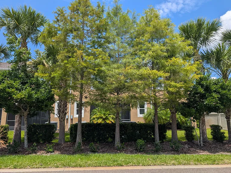 17849 Althea Blue Pl — Photo 31